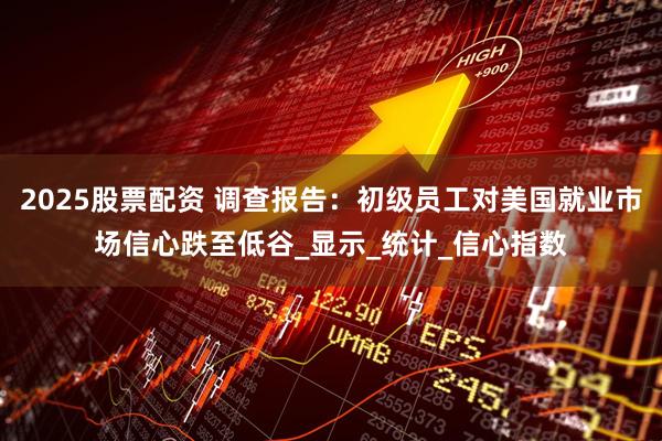 2025股票配资 调查报告：初级员工对美国就业市场信心跌至低谷_显示_统计_信心指数