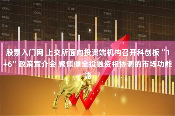 股票入门网 上交所面向投资端机构召开科创板“1+6”政策宣介会 聚焦健全投融资相协调的市场功能