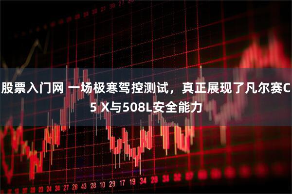 股票入门网 一场极寒驾控测试，真正展现了凡尔赛C5 X与508L安全能力
